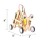 Crawling Bug Robot STEM Kit – Build & Learn Robotics