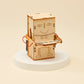 Money Bank Robot DIY Kit, Educational STEM Toy
